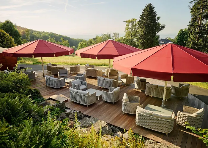 Falkenstein Grand, Autograph Collection